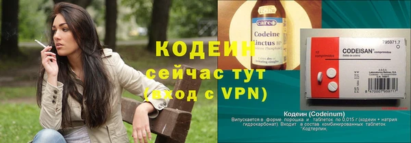 соль ск Верхний Тагил
