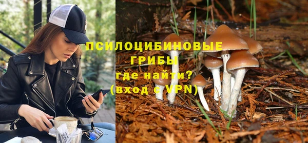 соль ск Верхний Тагил
