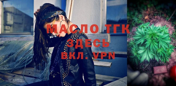 дмт Дмитровск