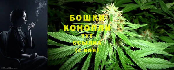соль ск Верхний Тагил
