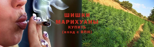 соль ск Верхний Тагил