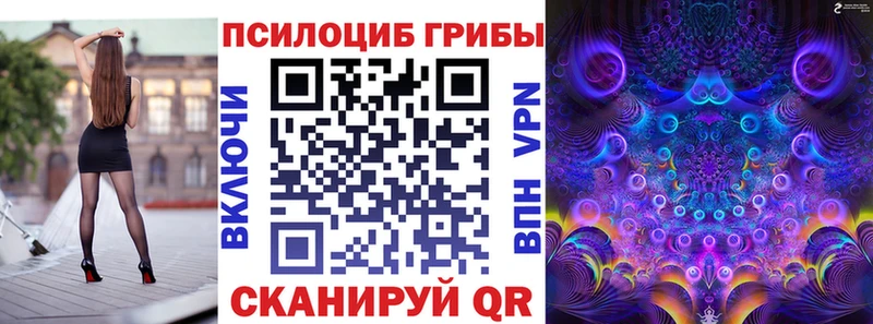 Псилоцибиновые грибы Cubensis  что такое   Гвардейск 